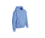 HEAVY BLEND ADULT HOODED SWEATSHIRT